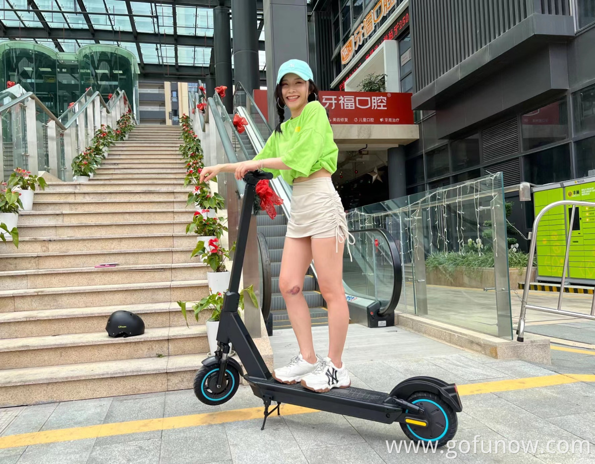 Gofunow VS10 Pro Electric Scooters Picture
